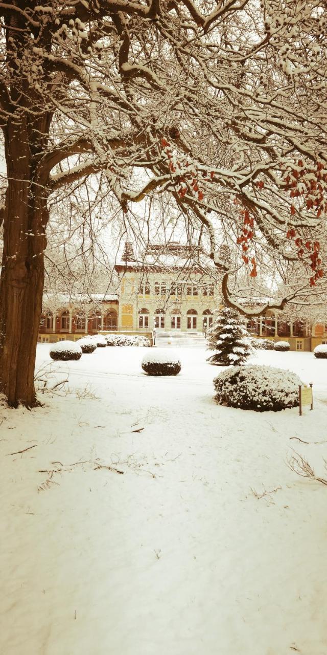 Residenz Haus Waldeck Bad Elster Exterior foto
